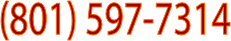 (801) 597-7314