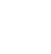We Work on 
ALL FOREIGN 
& DOMESTIC 
Makes & Models!